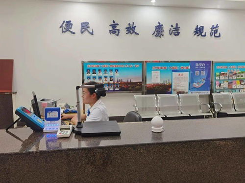 嘉興科技城大橋鎮(zhèn)便民服務(wù)中心啟用“一窗受理、全域通辦”公用事業(yè)服務(wù)窗口